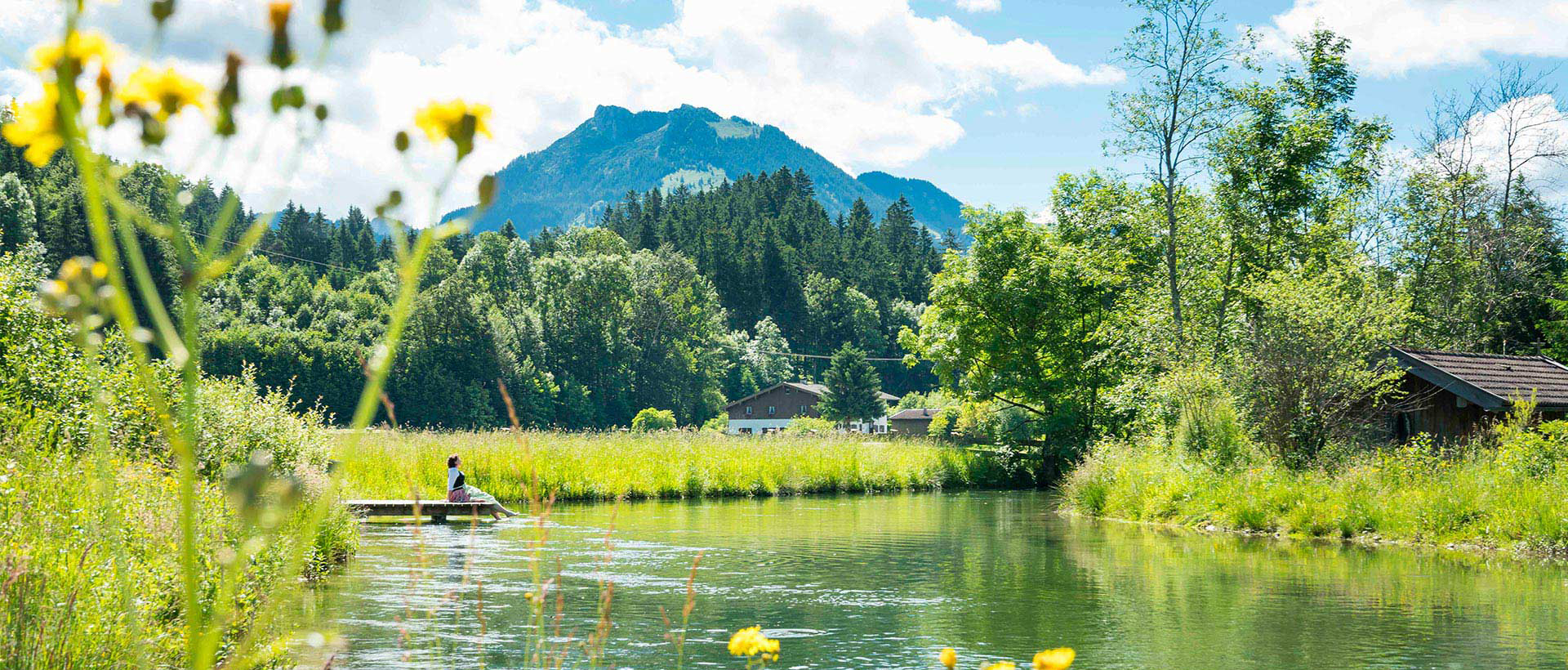 HeaderImage HeaderImage