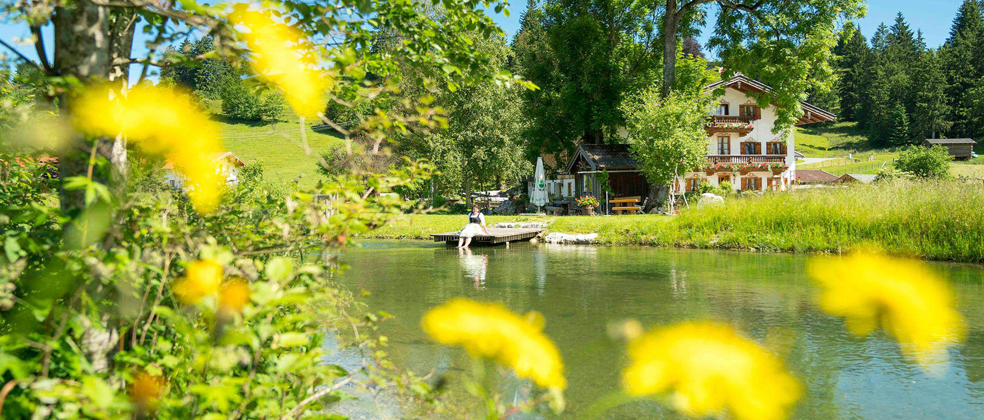 HeaderImage HeaderImage