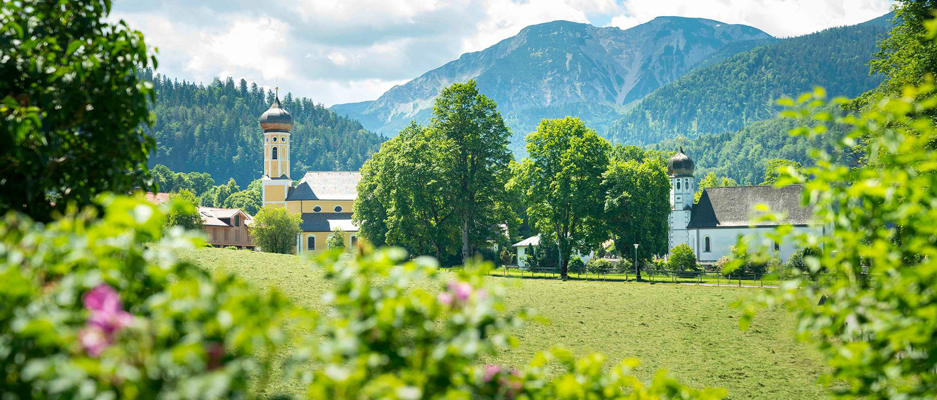 HeaderImage HeaderImage