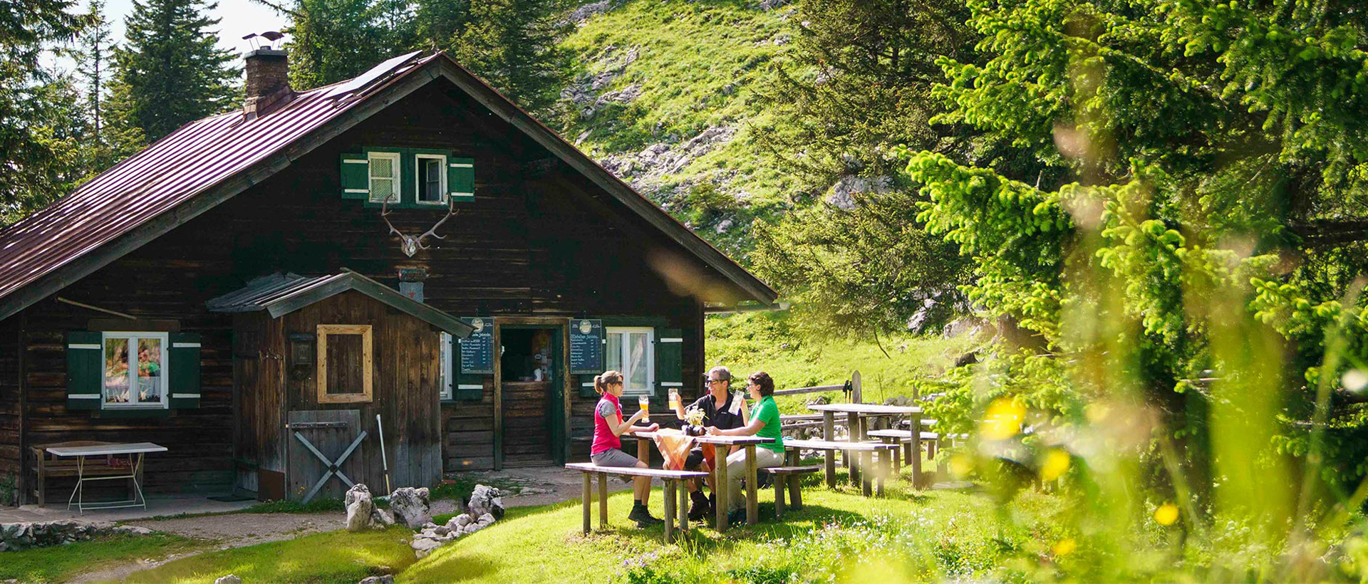 HeaderImage HeaderImage